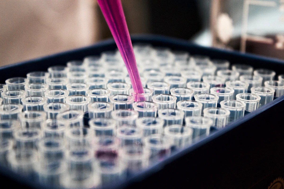 Laboratory test tubes in a rack, representing medical specimen delivery